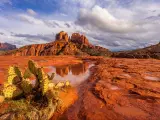 Sedona, Arizona, USA with a view of Cathedral Rock in the distance and cactus in the foreground taken at sunset. 