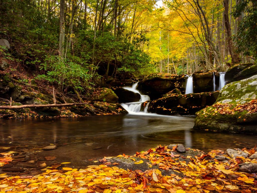 Smoky Mountains waterfalls, three separate waterfall in the same shot, autumn leaves in the foreground and distant fall colors in the trees with a carpet of autumn leaves in the foreground