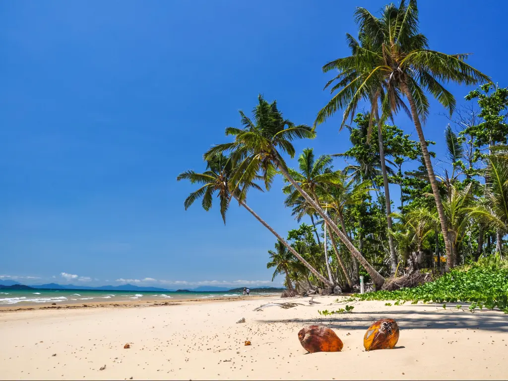 Stunning view of the beach in Mission Beach, Cassowary Coast Region, Queensland, Australia. White sand beach, crystal clear water and palm trees along the beach. Two coconuts lying in the sand.
