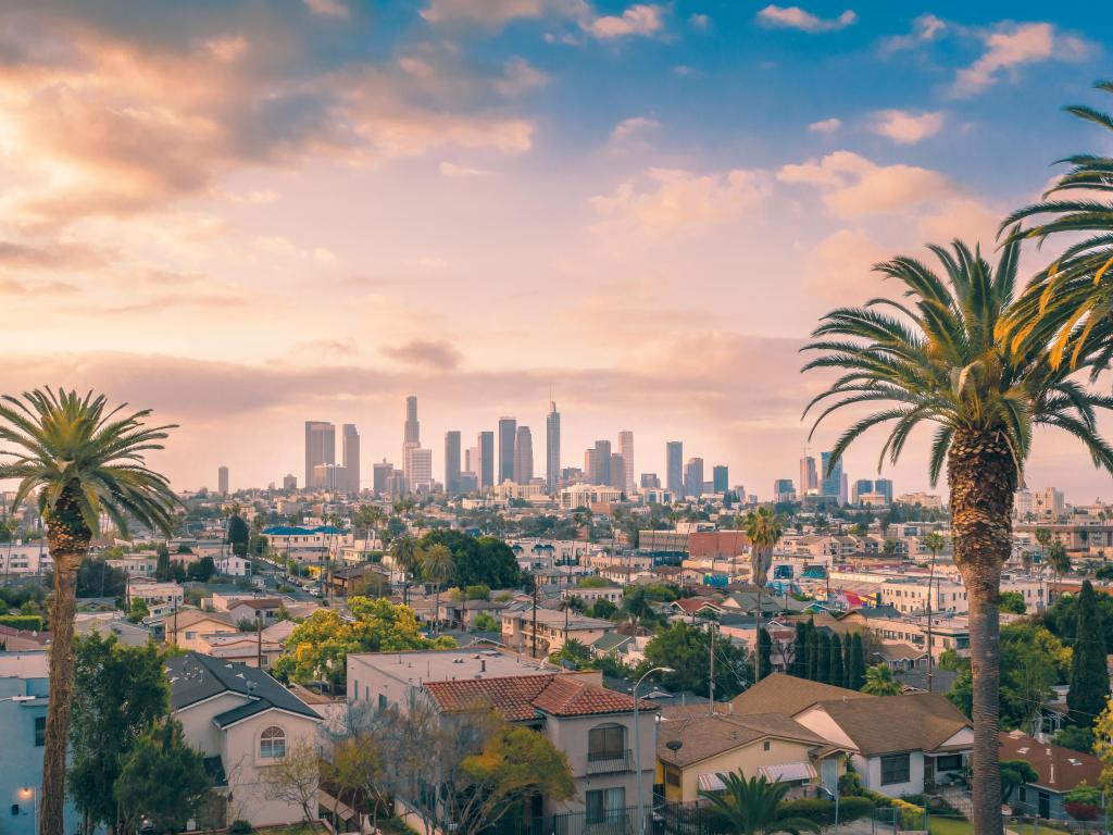 Beautiful sunset of Los Angeles downtown skyline and palm trees