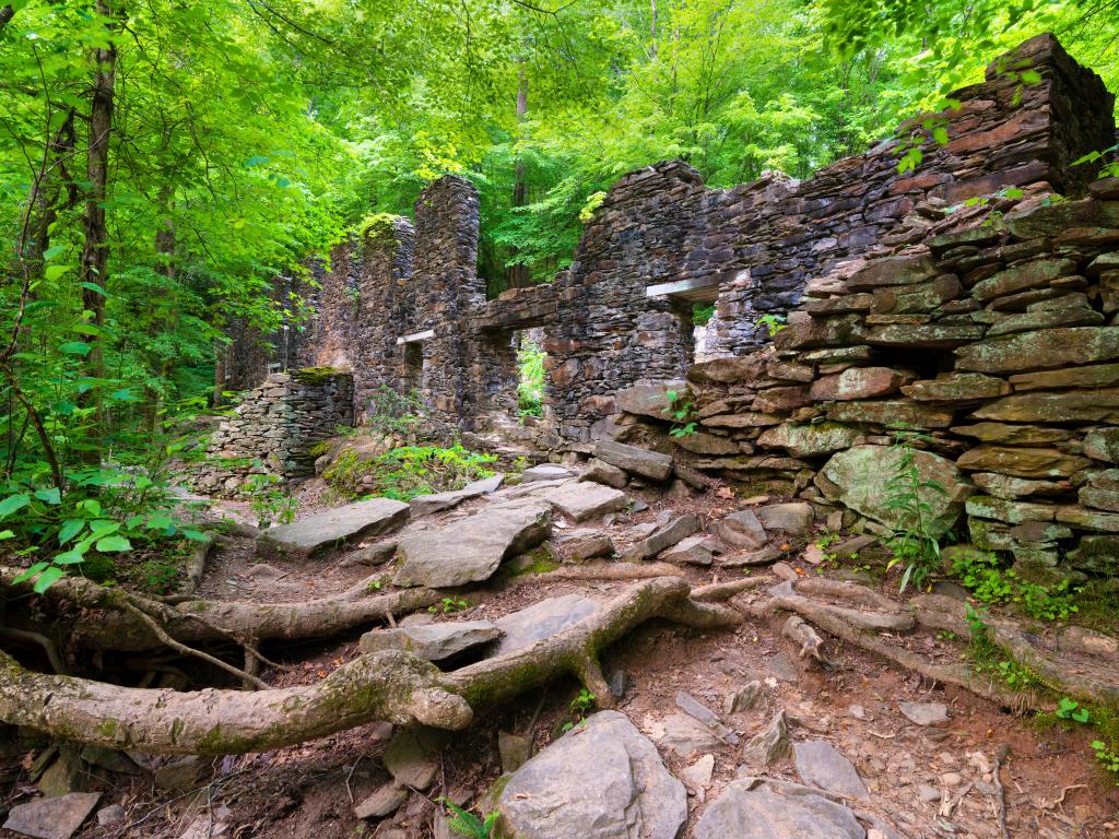 Marietta, Georgia, USA taken some historic ruins on hiking trail, surrounded by lush green trees and fallen branches. 