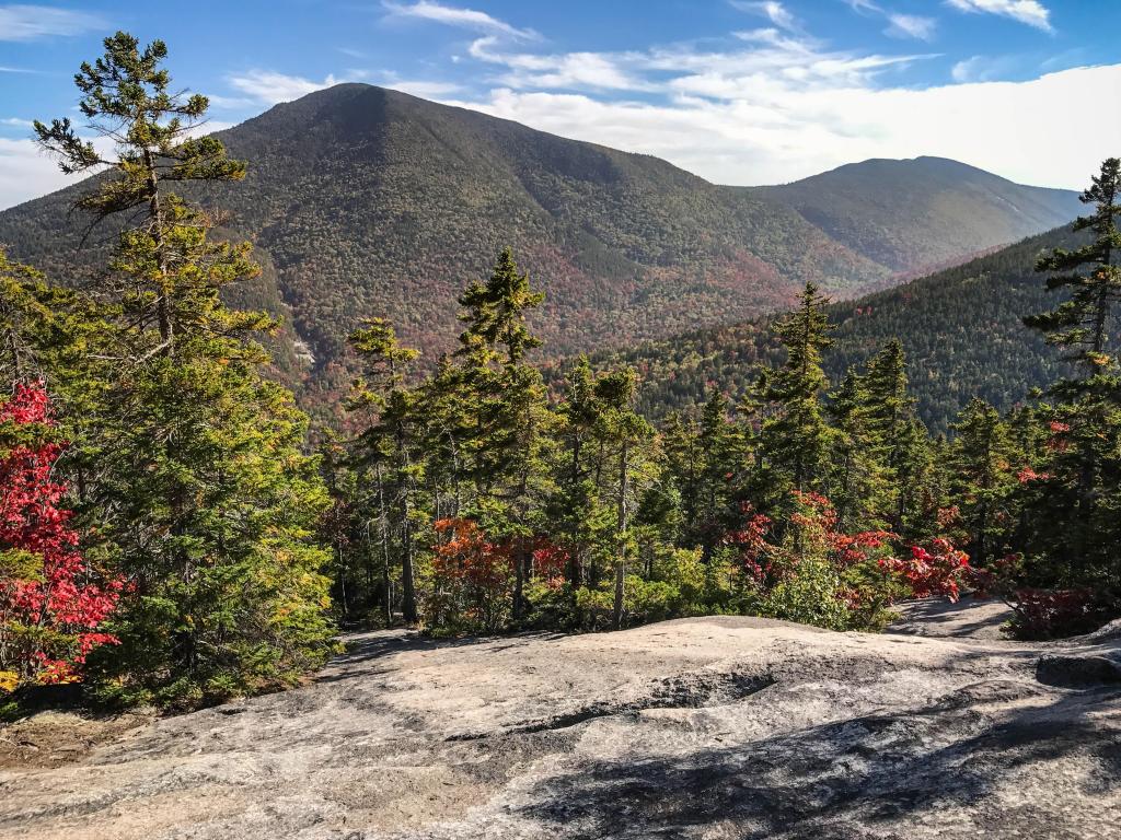 Mont-Orford National Park, Canada at a popular hiking spot at Mont Chauve with trees and flowers and mountains beyond on a sunny day.