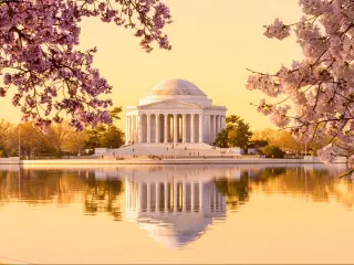 Washington DC, Washington, USA with the sun rising illuminating the Jefferson Memorial and Tidal Basin with bright pink cherry blossoms framing the monument.