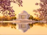 Washington DC, Washington, USA with the sun rising illuminating the Jefferson Memorial and Tidal Basin with bright pink cherry blossoms framing the monument.