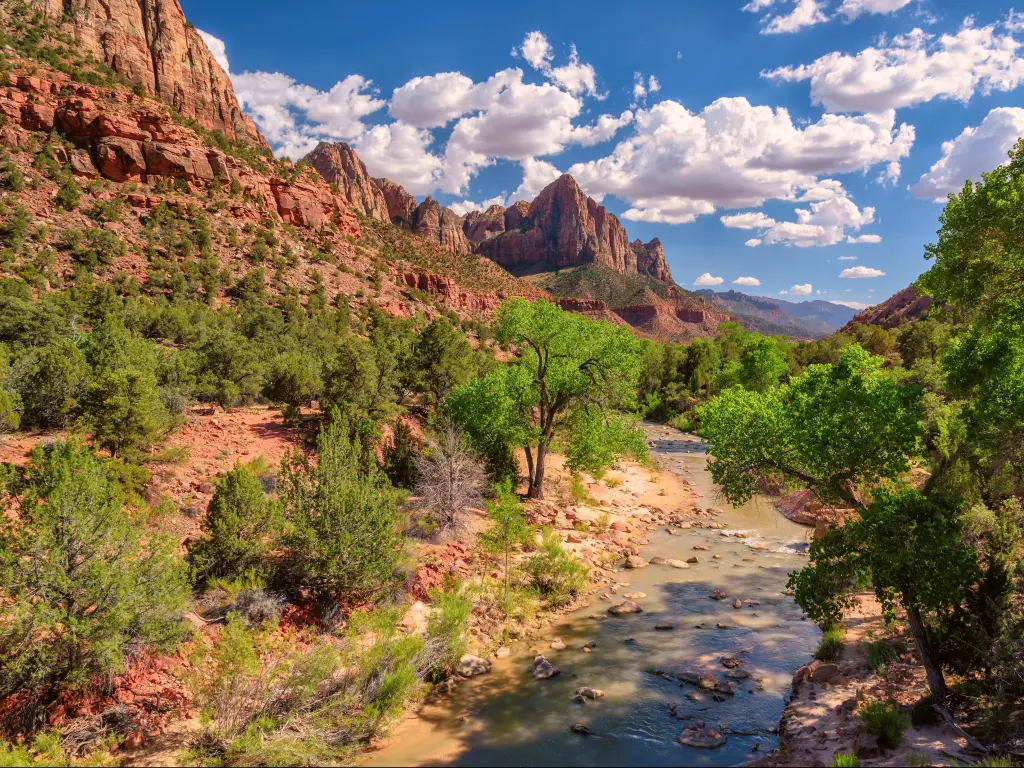 View of the Watchman mountain in Zion National Park , Utah, USA and the virgin river.