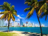Miami, Florida, USA with a skyline view of the city, palm trees and sea in the foreground. 