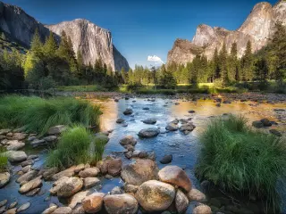 Yosemite National Park, California on a sunny day with large rocks and plants growing in the lake in the foreground, mountains and trees in the distance.