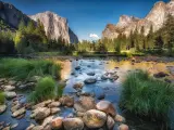 Yosemite National Park, California on a sunny day with large rocks and plants growing in the lake in the foreground, mountains and trees in the distance.