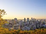 Montreal, Canada taken during a beautiful golden sunrise over the Montreal city taken from Mont-Royal park in the foreground. 