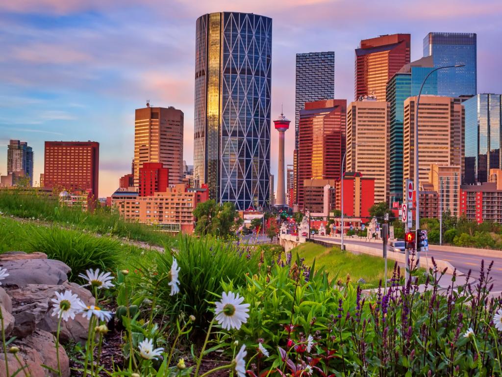 Calgary, Canada with flowers in the foreground and the downtown city skyline in the background taken as the sun is starting to set.