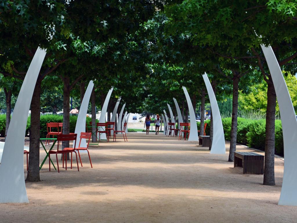 Oak tree alley at the Klyde Warren Park in downtown Dallas