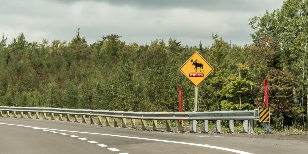 A moose crossing sign on the side of the road - Trans Canada Highway in Quebec 