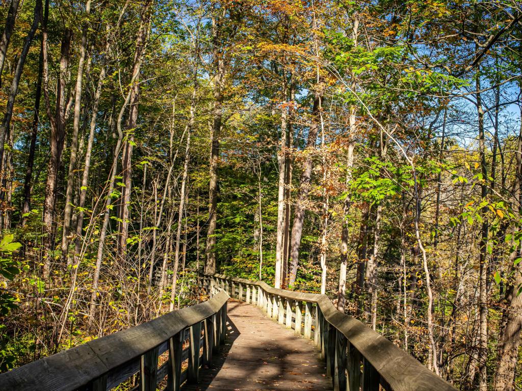 The Brandywine Gorge Trail during Autumn leaf color change at Cuyahoga Valley National Park between Cleveland and Akron, Ohio.