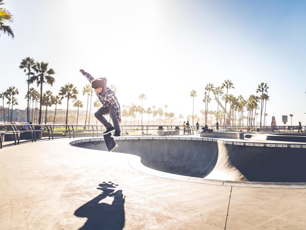 Skateboarder performing tricks at the skatepark by the beach with palm trees in the background