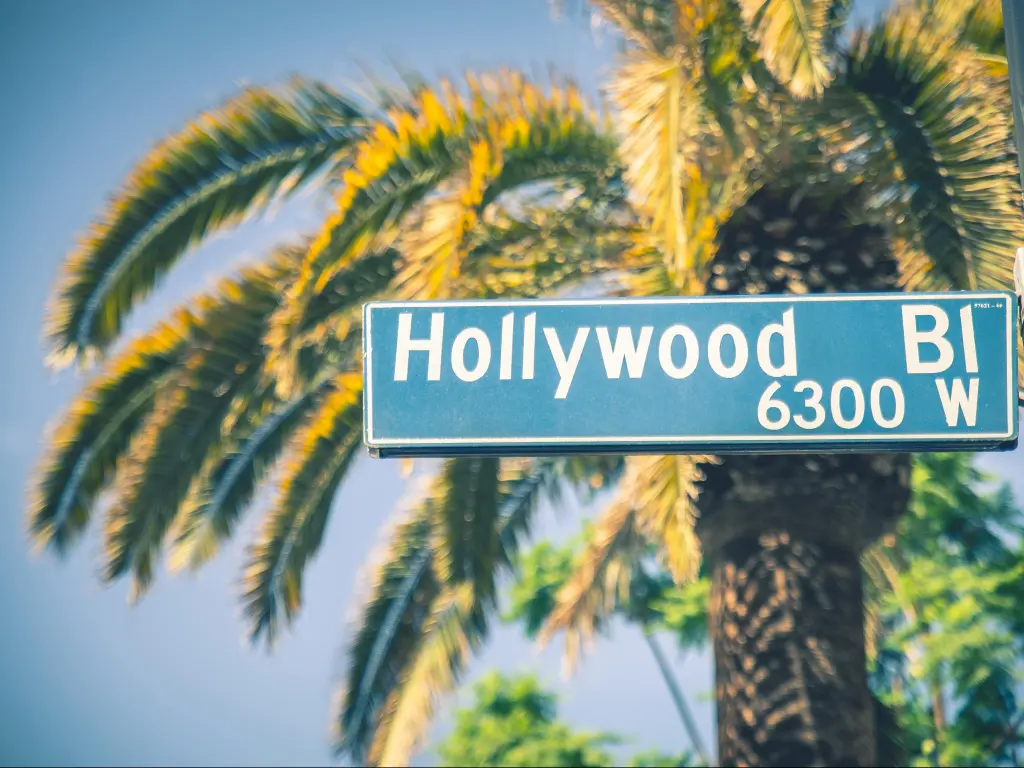 Los Angeles, California, USA with the Hollywood boulevard street sign and palm tree against a blue sky.