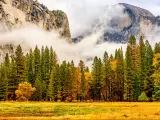 Yosemite National Park Valley at cloudy autumn morning. Low clouds lay in the valley. California, USA.