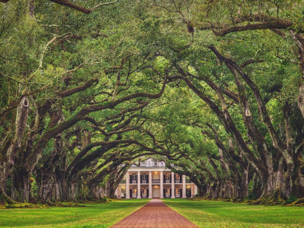 Oak Alley Plantation in Vacherie, Louisiana looking down the tree tunnel of the stunning plantations of the antebellum south with the building in the distance.