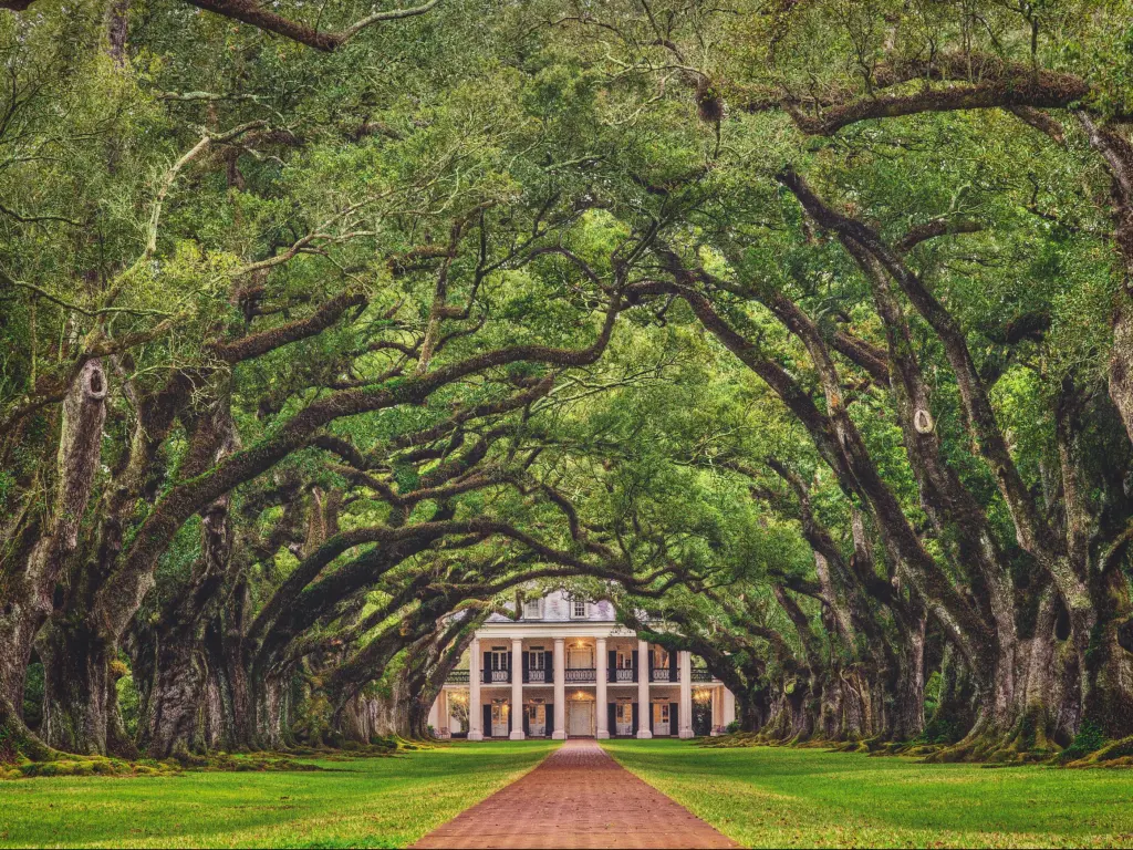 Oak Alley Plantation in Vacherie, Louisiana looking down the tree tunnel of the stunning plantations of the antebellum south with the building in the distance.