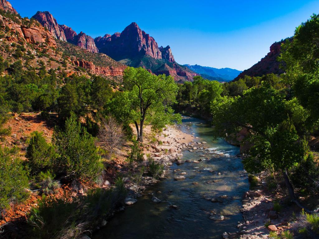 Zion National Park, Utah, USA with a beautiful landscape of the park showing trees, red cliffs, a stream against a blue sky.