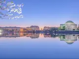 Washington DC Memorial, USA with the landmarks in the background reflecting in the water in the foreground taken at early evening. 