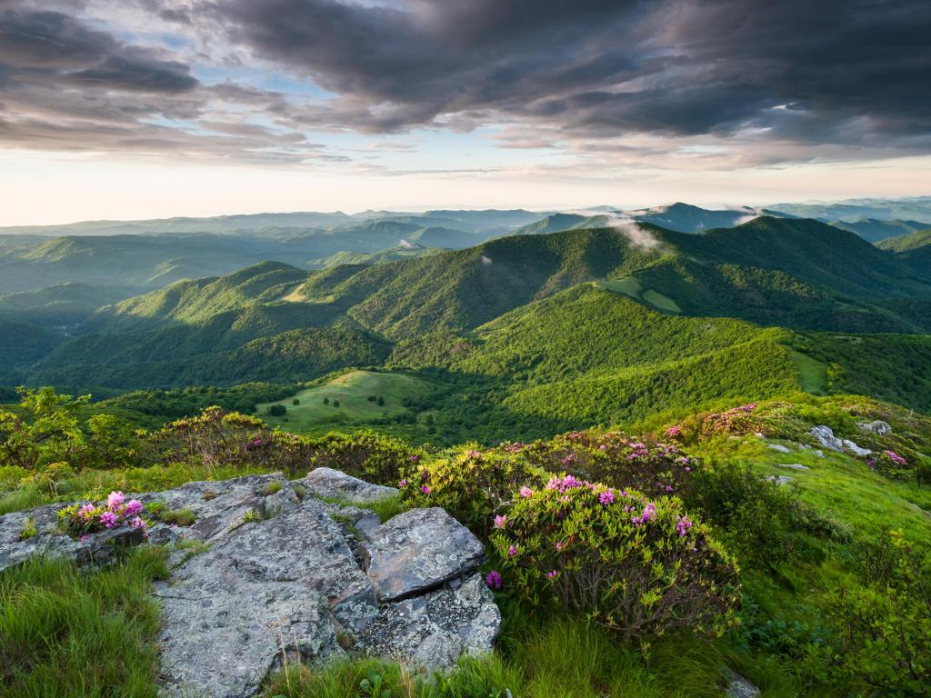 Appalachian Mountains, North Carolina, USA with a stunning view of the Roan Highlands at the Southern Appalachian Mountains along the Appalachian Trail near the state borders of North Carolina and Tennessee