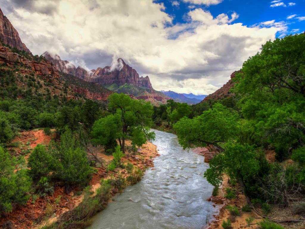 River and Watchman View, Zion National Park, Utah