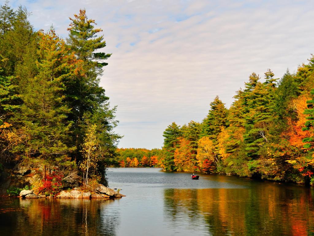 Autumn in Bigelow Hollow State Park, Connecticut