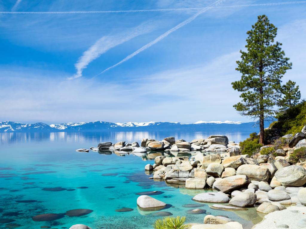 Lake Tahoe, USA with turquoise water and rocks in the foreground, a lone tree and snow-covered mountains in the distance on a sunny day.