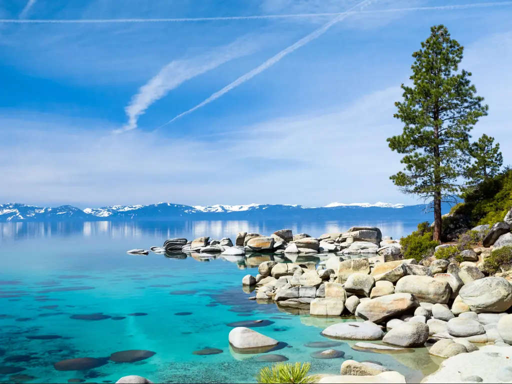 Lake Tahoe, USA with turquoise water and rocks in the foreground, a lone tree and snow-covered mountains in the distance on a sunny day.