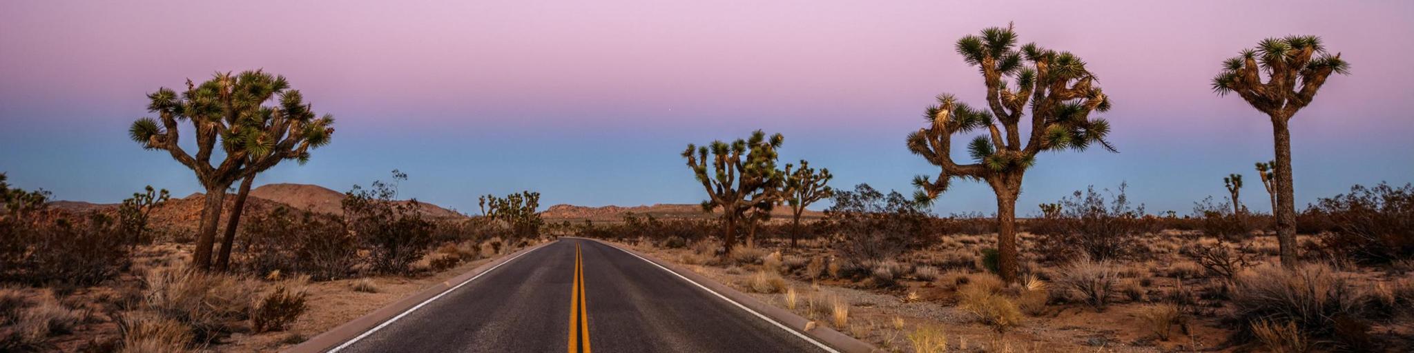 Road driving through the desert near Joshua Tree National Park in California at sunset, with a purple sky