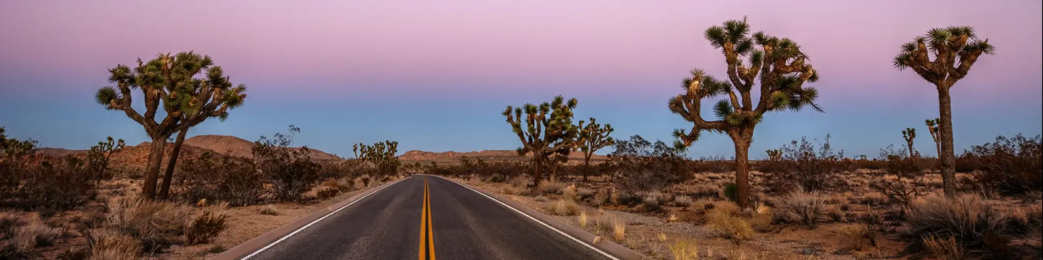 Road driving through the desert near Joshua Tree National Park in California at sunset, with a purple sky