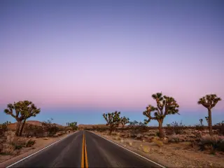 Road driving through the desert near Joshua Tree National Park in California at sunset, with a purple sky