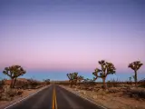 Road driving through the desert near Joshua Tree National Park in California at sunset, with a purple sky
