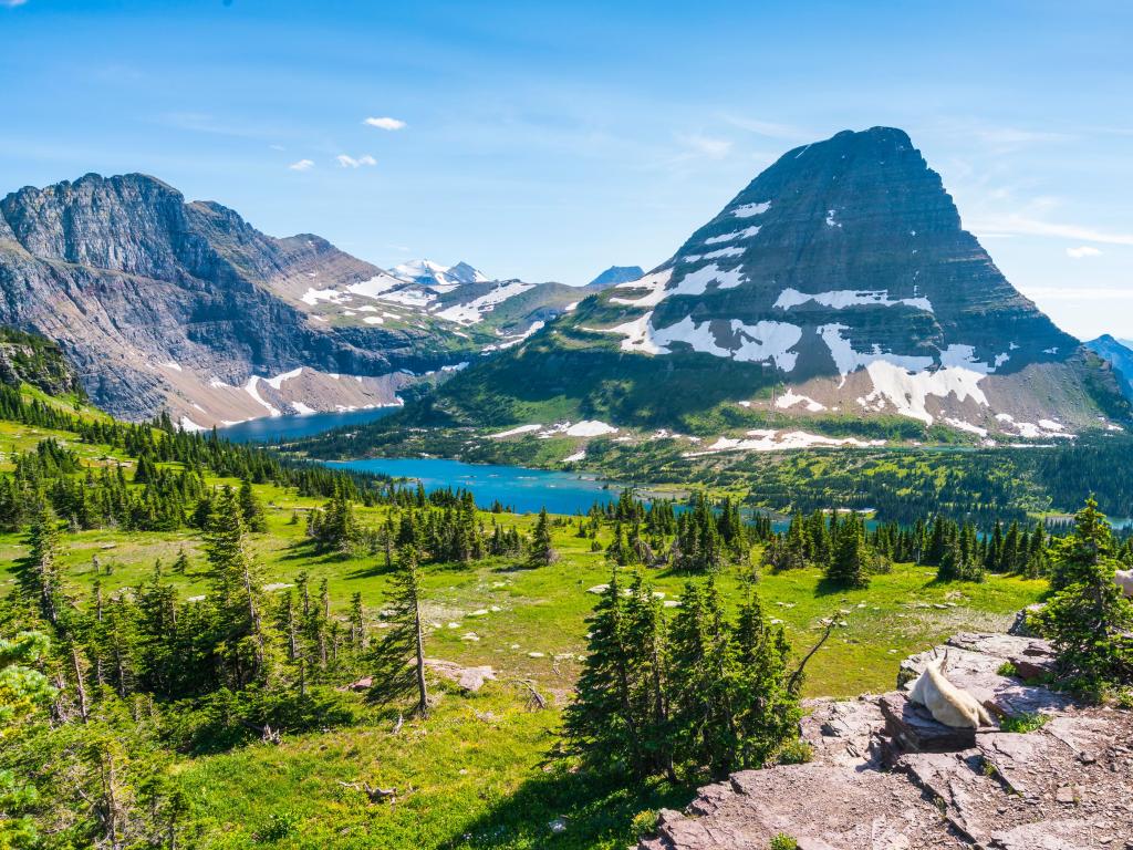 Glacier National Park, Montana, USA taken at Logan Pass trail in the park on sunny day.