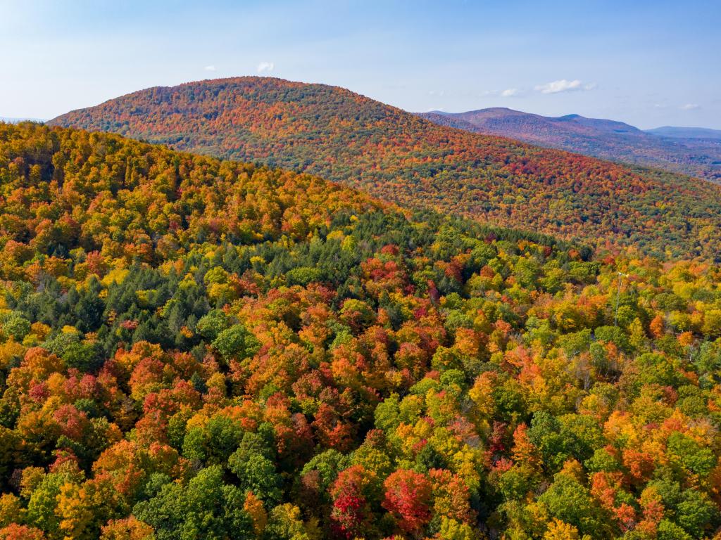 Aerial view of thousands of orange-hued trees on the Catskill Mountains on a fall day in upstate New York