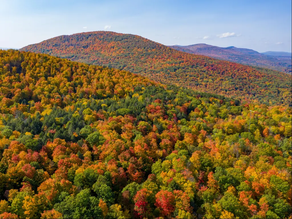 Aerial view of thousands of orange-hued trees on the Catskill Mountains on a fall day in upstate New York