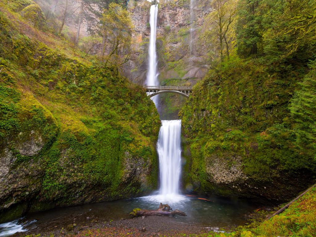 Multnomah Falls, Oregon, USA taken by Benson Bridge at Columbia River Gorge Oregon in Spring Season.