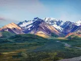 Denali National Park, Alaska with a road leading to snow-capped mountains in the distance on a clear day.