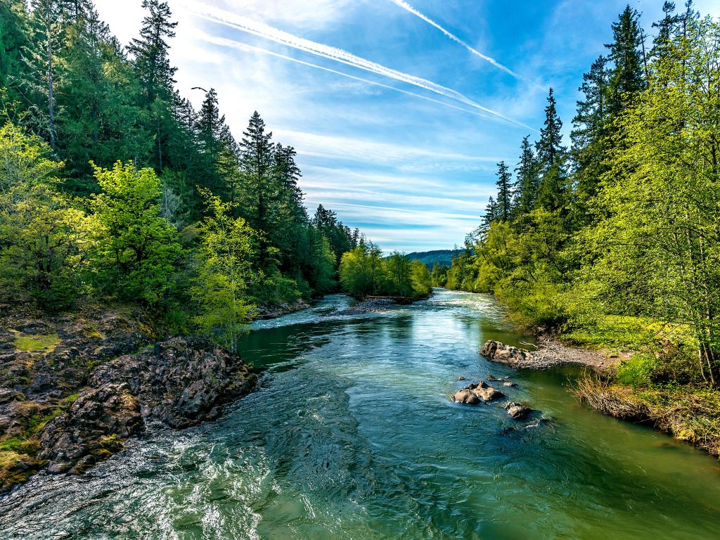 A bright blue river flowing through an Oregon forest as the sun begins to set in a hidden park along the scenic drive in southern Oregon, northern California border.