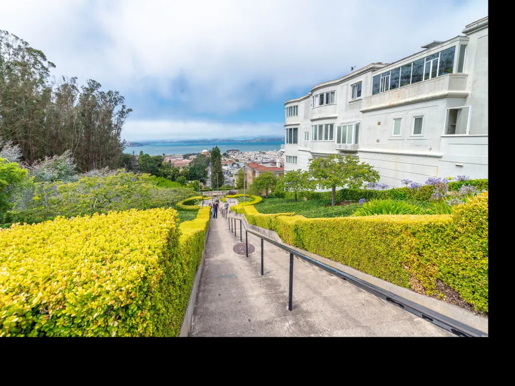 Lyon Street Steps in San Francisco going up to Billionaire Row in Pacific Heights