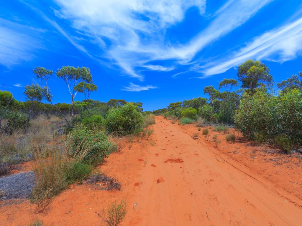Red dirt road right through the Mallee in the Murray Sunset National Park in Victoria, Australia against a background of a blue sky with light cloud cover