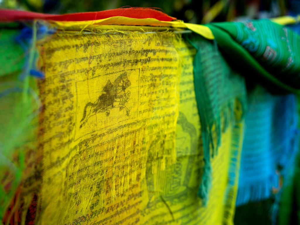 Yellow and blue flags with Buddhist scripts near the Karma Triyana Dharmachakra Tibetan buddhist monastery.