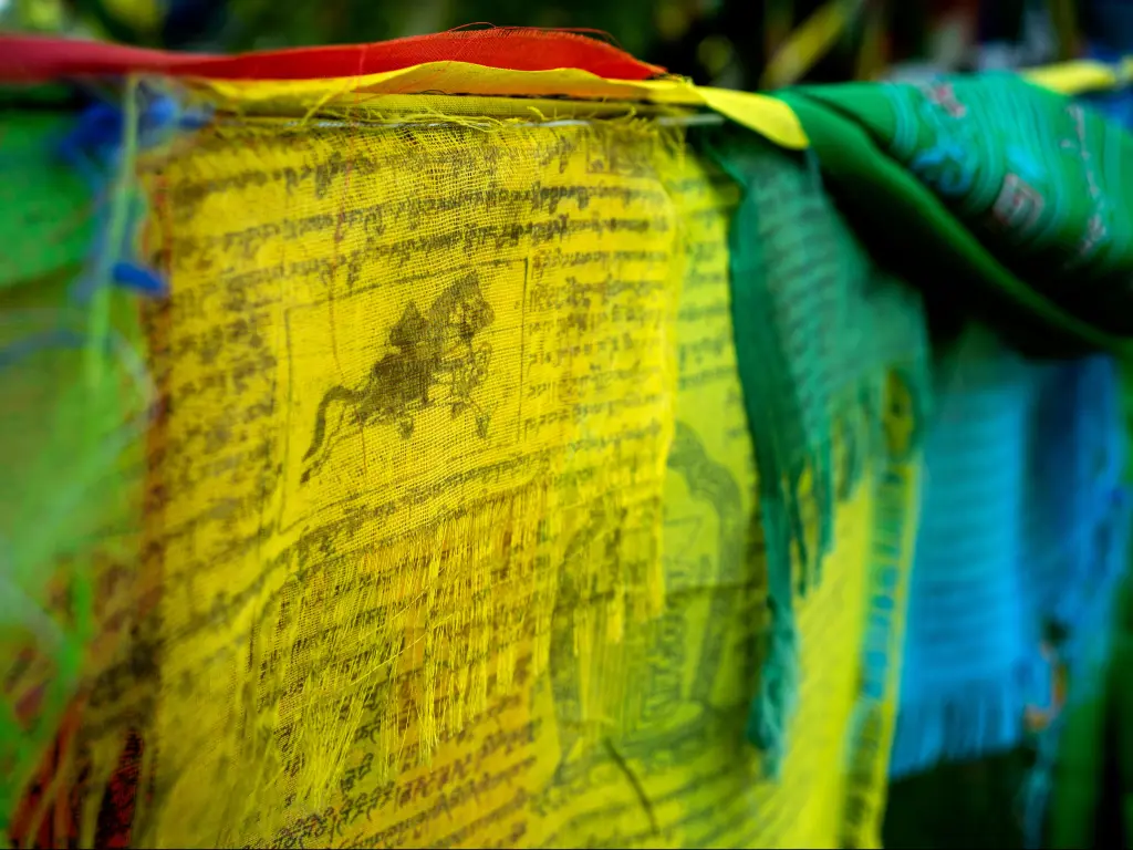 Yellow and blue flags with Buddhist scripts near the Karma Triyana Dharmachakra Tibetan buddhist monastery.