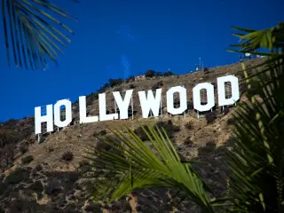 Famous sign can be seen frames by palm leaves on a sunny day