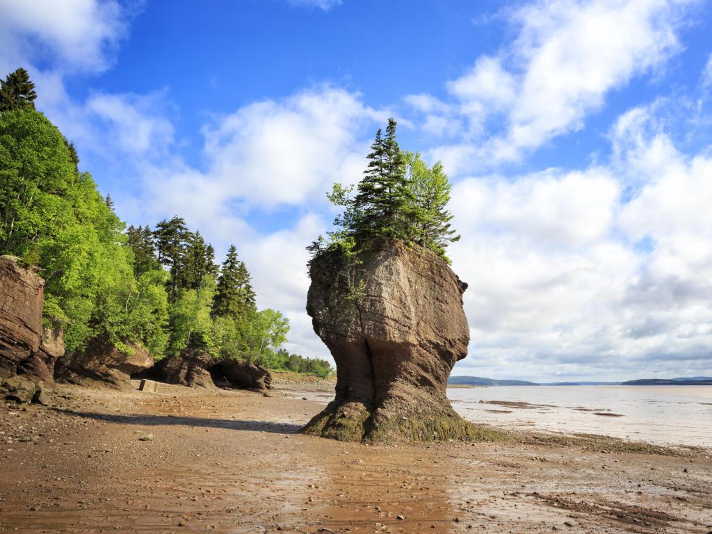 Hopewell Rocks Provincial Park, New Brunswick, Canada taken on a sunny day with the tide out and the rocks in the foreground with trees growing on top.