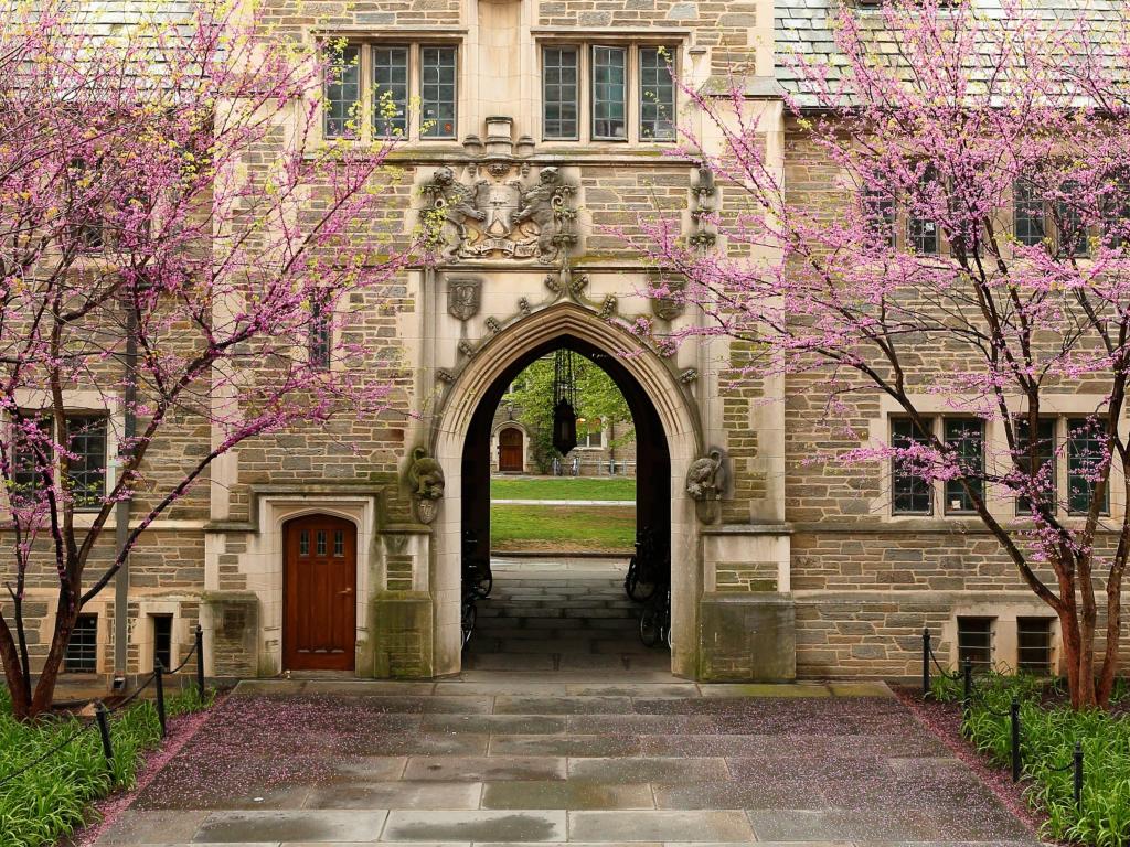 Princeton University in spring. The photo depicts an archway into the courtyard with the blossoming trees on each side.