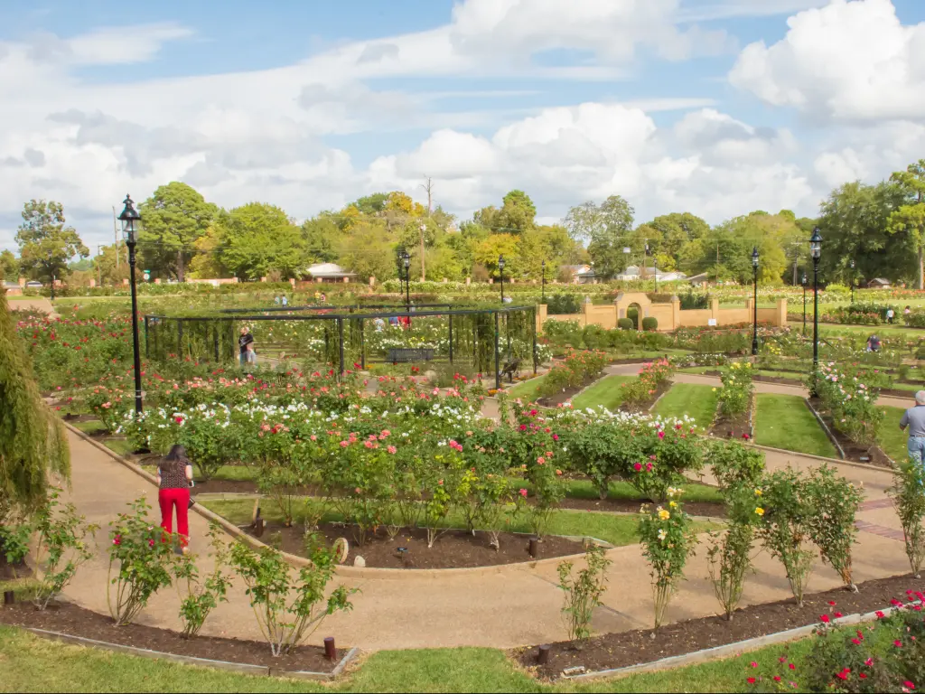The 14 acre Municipal Rose Garden in Tyler, Texas