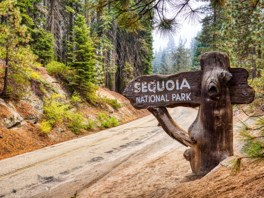 Welcome Sign in the Sequoia National Park, California, USA.