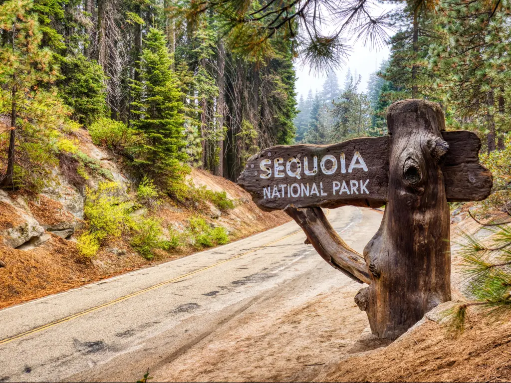Welcome Sign in the Sequoia National Park, California, USA.