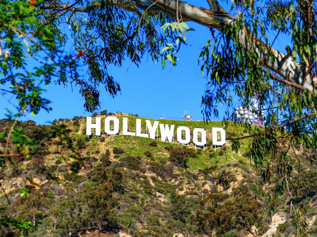 View of the Hollywood Sign in Los Angeles seen through the trees on a sunny day, with the blue sky above